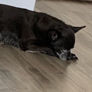 Meet your Posher, Trey